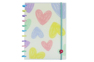 CADERNO POP DISC DECOR GRANDE CAPA:FLORES E AMORES